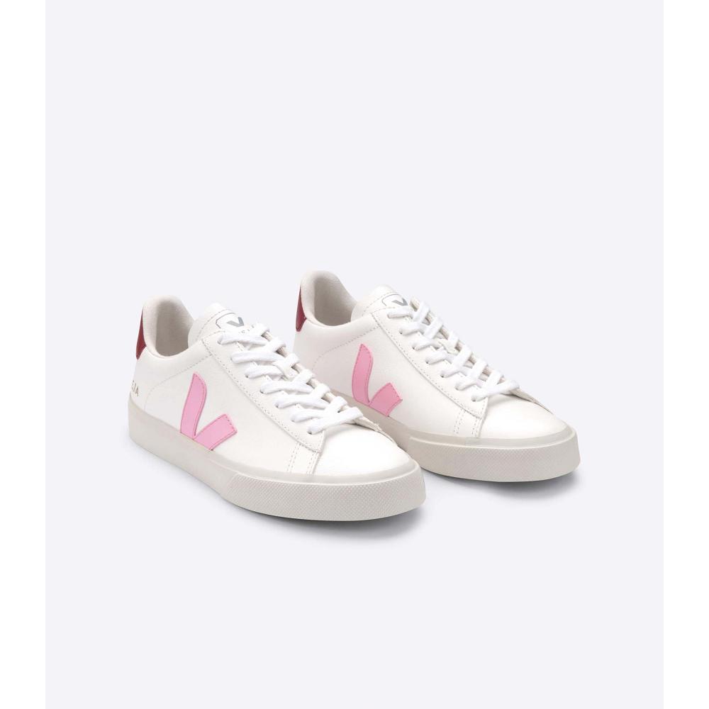 Men's Veja CAMPO CHROMEFREE Low Tops Sneakers White/Pink | SG 193WNB